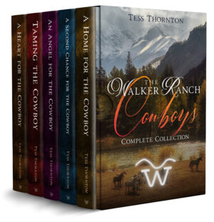 Walker Ranch Cowboys Box Set